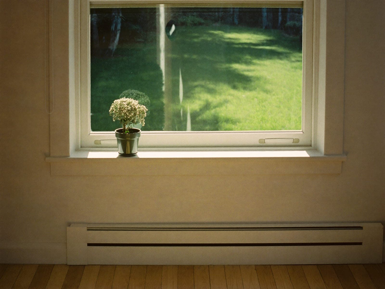 Sunlight through clean window glass onto a sill, with the track and frame clear.